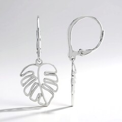 Orecchini in argento