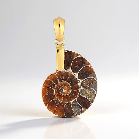Ciondolo in argento con Ammonite