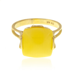 Gouden ring met een Baltische barnsteen