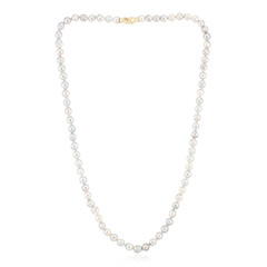 Platin-Akoya-Perlen-Goldcollier (TPC)