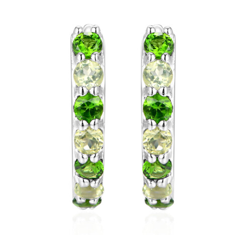 Orecchini in argento con Diopside Russo