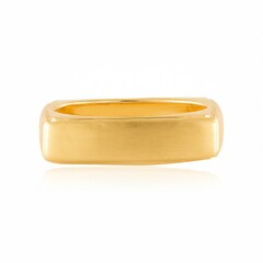 Anillo en plata (de Melo Essence)