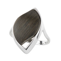 Bague en argent et Chêne des marais