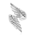 Anello in argento (TPC)