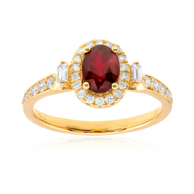 AAA-Mosambik-Rubin-Goldring (CIRARI)